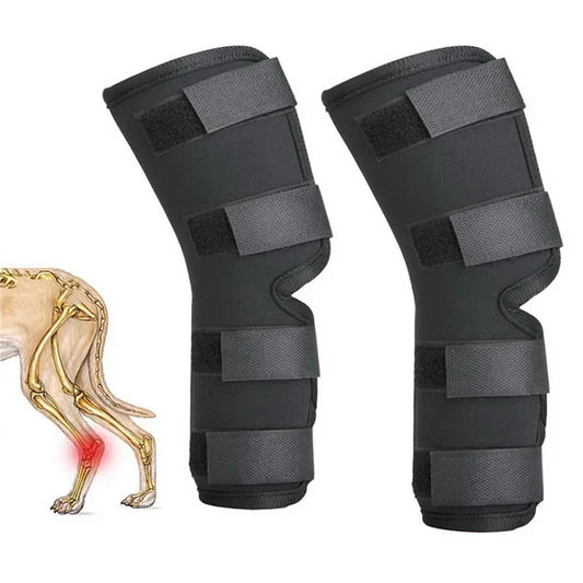 Pair of black adjustable dog knee braces – joint support pads for front or rear legs, suitable for small to large breeds
