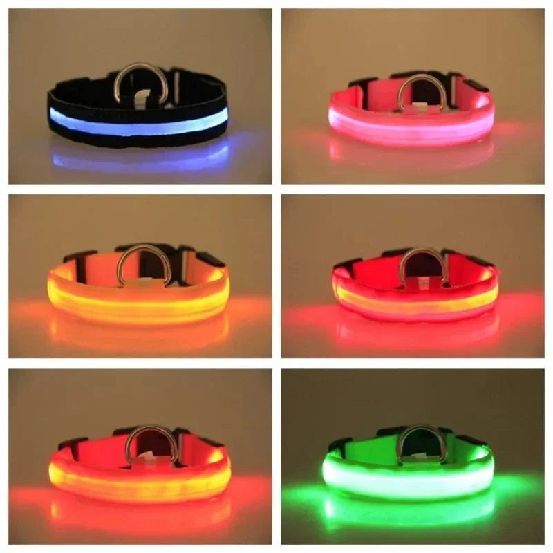 LED Nylon Dog and Cat Collar | Glow-in-the-Dark Safety Accessory for Night Walks