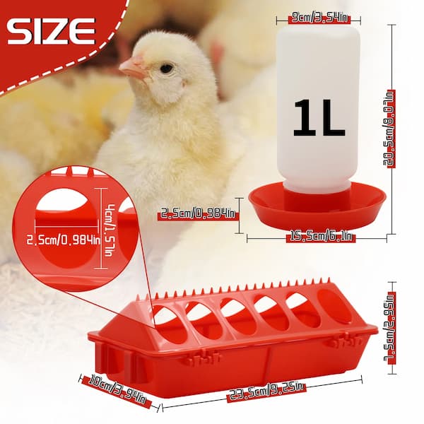 Red poultry feeder and waterer with measurements and a chick in the background