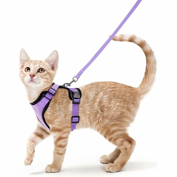 escape proof cat harness leash set adjustable breathable vest harness for cats outdoor walking