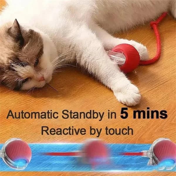 Cat playing with a red and blue toy on a wooden floor, with text about the toy's features.