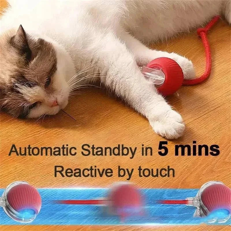 Rechargeable Smart Pet Interactive Rolling Ball Toy for Cats & Dogs