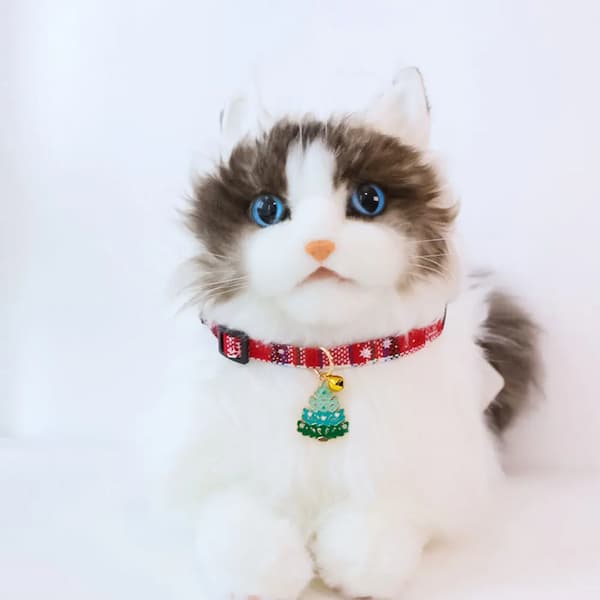 Cat wearing a red collar with a bell on a white background