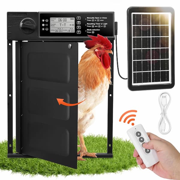 Solar-powered chicken coop door with remote control and chicken illustration on grass background