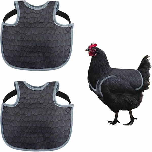 chicken saddle for hens feather protection anti pecking apron poultry back protector breathable hen jacket