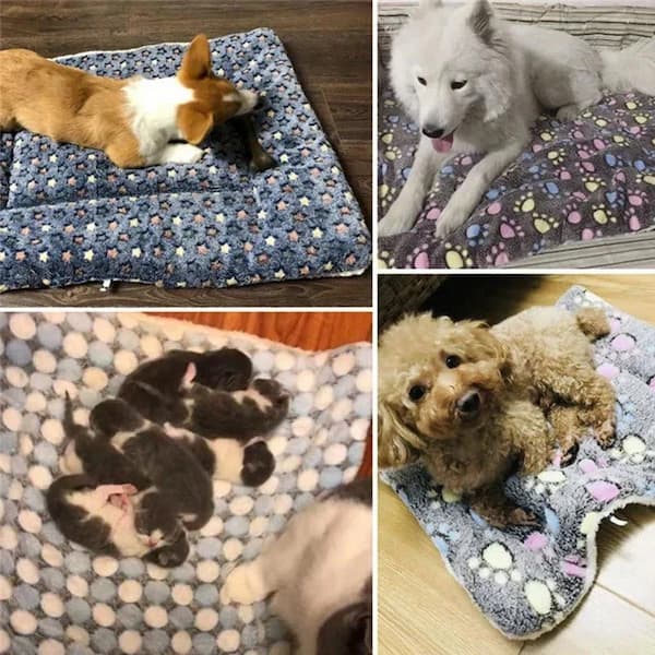 Collage of dogs and puppies on patterned mats.