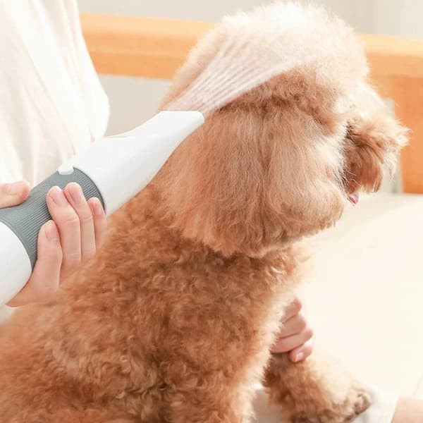 Professional pet hair dryer grooming tool with adjustable heat settings for dogs and cats in multiple colours