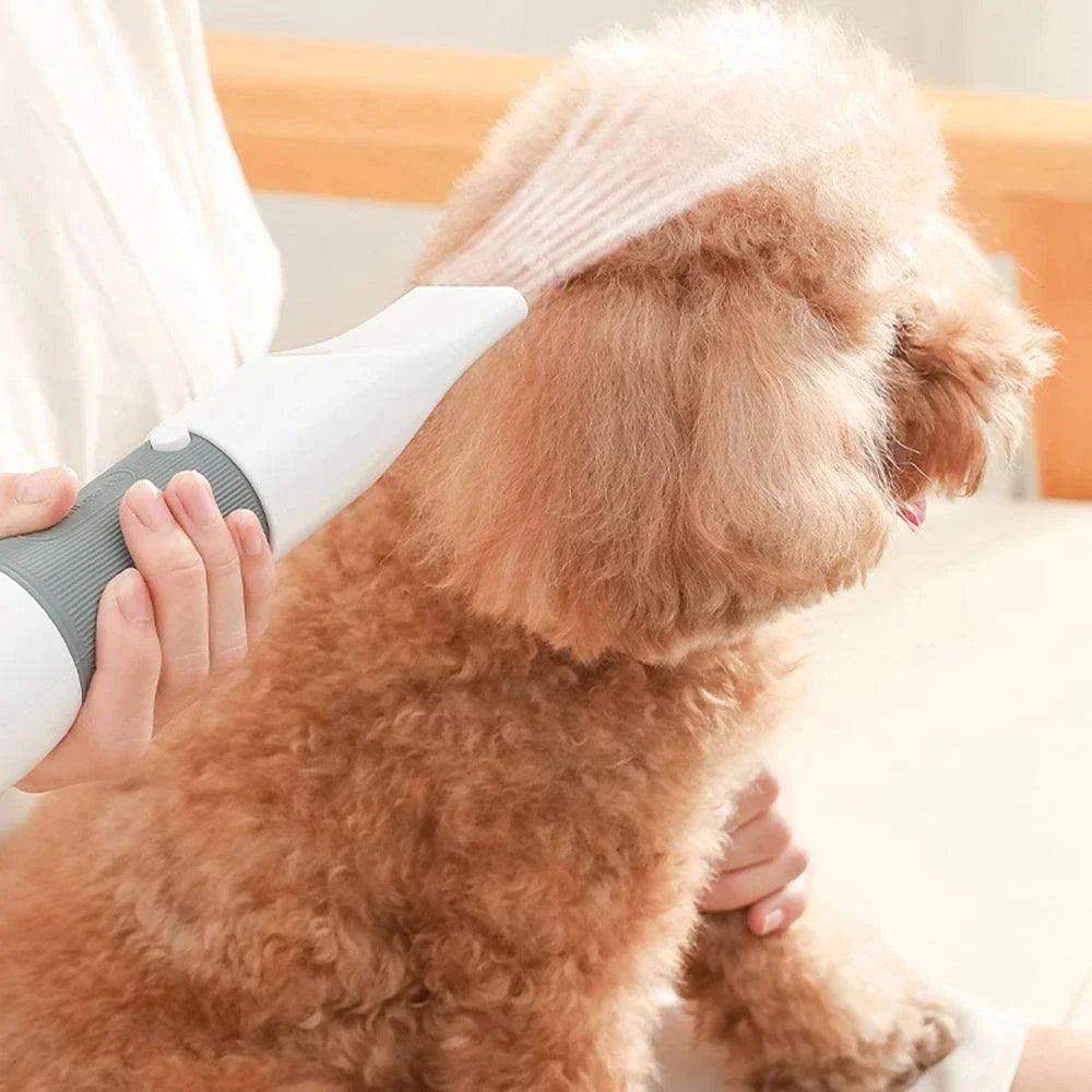 "Pet hair dryer with adjustable heat and airflow settings for fast and safe drying of dogs and cats, available in 110V and 220V options.