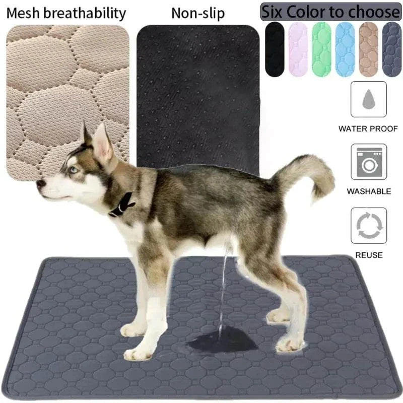 Reusable absorbent dog pee pad blanket, washable training pad for dogs, waterproof and multi-purpose for home and travel.