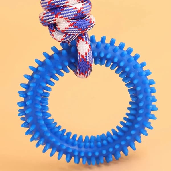 Blue textured ring with a colorful rope on a beige background