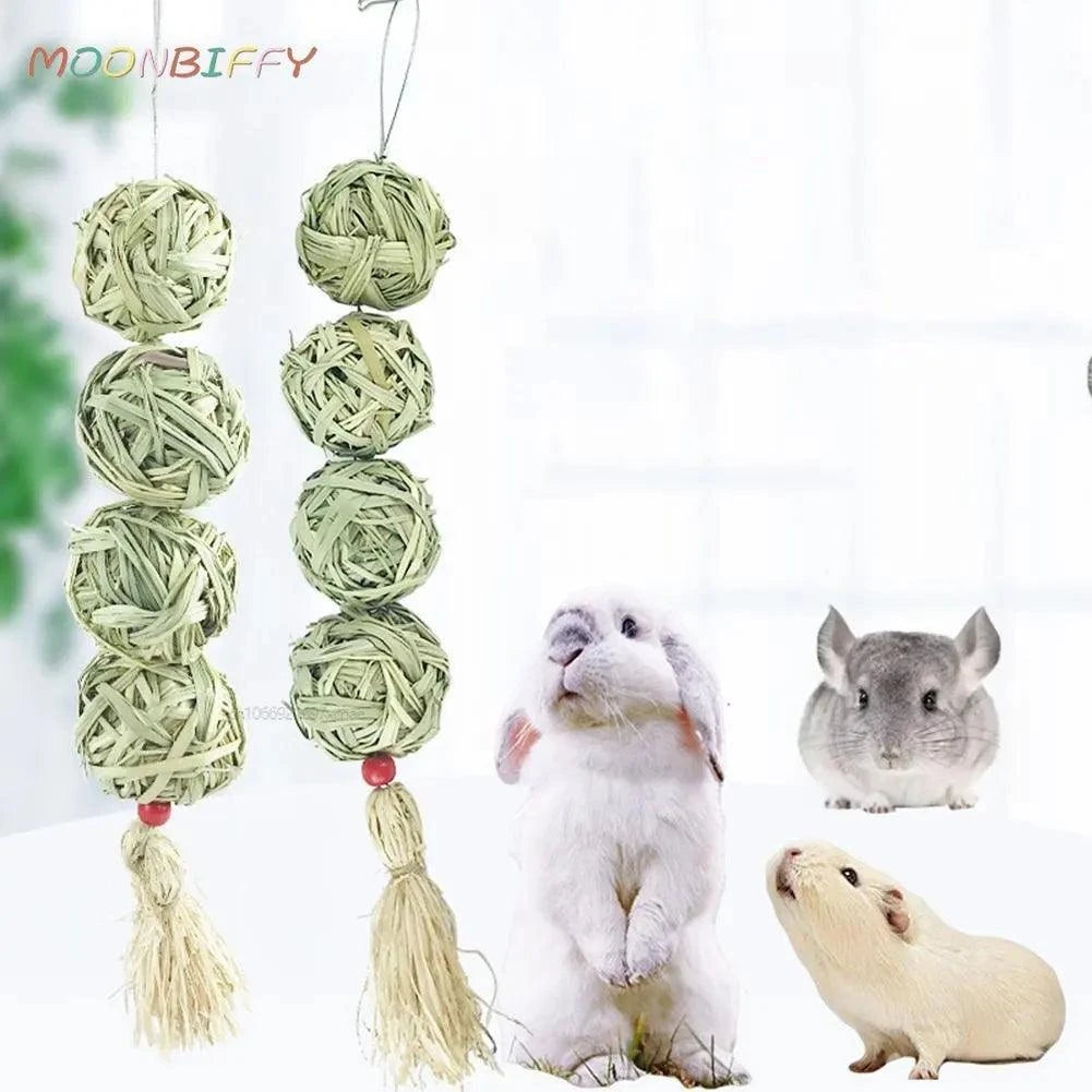 Small Animals Chew Toy | Pet Hanging Chew Toy | Jo's Pet Deal's