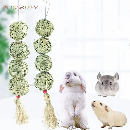 Small Animals Chew Toy | Pet Hanging Chew Toy | Jo's Pet Deal's