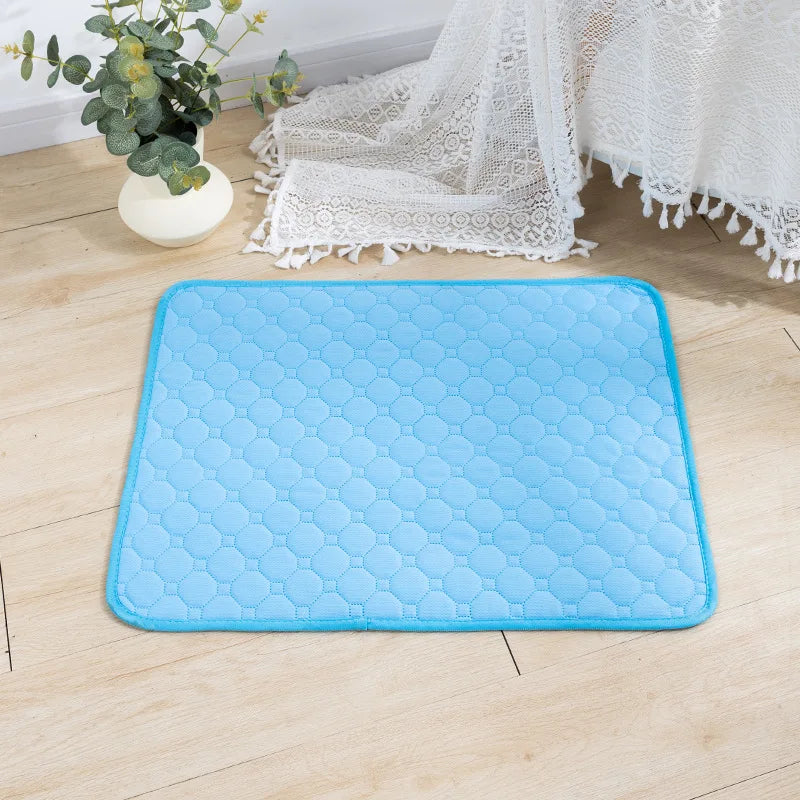 Reusable Puppyy Training Mat