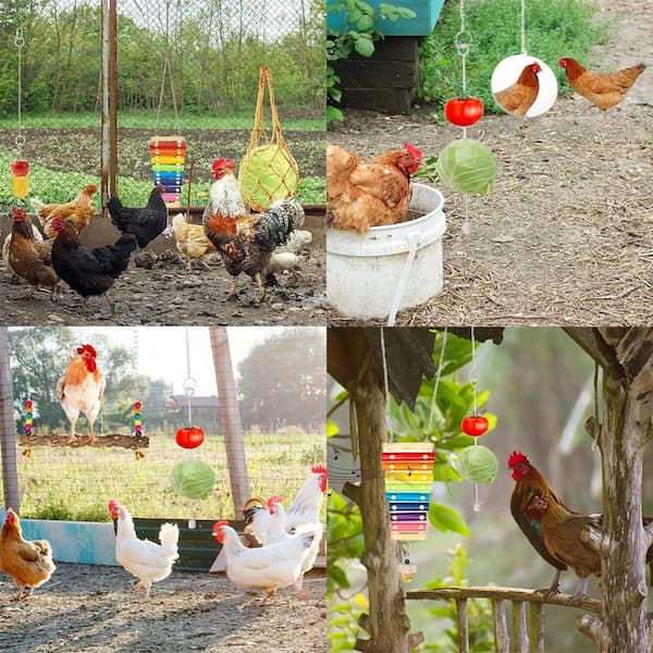 6 piece chicken enrichment toy set with swing ladder mirror bell and hanging treat toys for backyard chickens