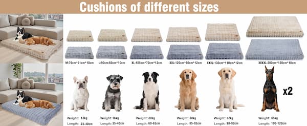 Dog bed size chart with measurements and example breeds for M to 4XL.