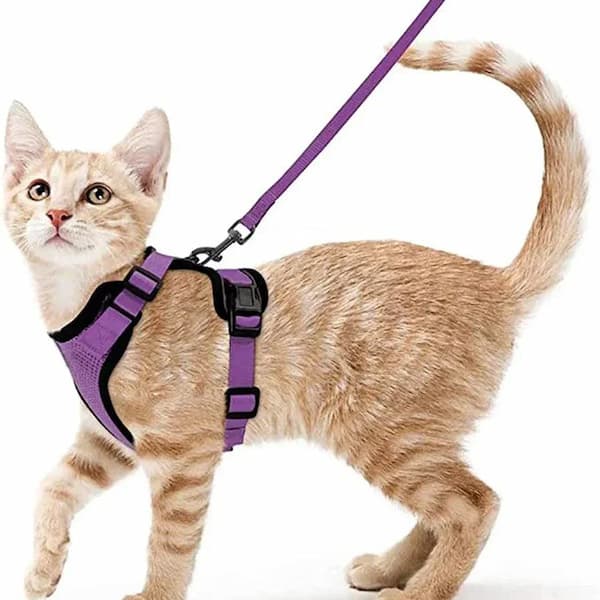 escape proof cat harness leash set adjustable breathable vest harness for cats outdoor walking
