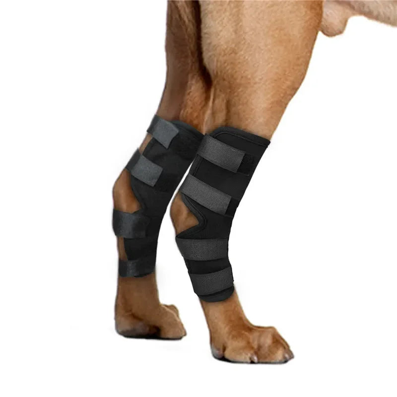 Pair of black adjustable dog knee braces – joint support pads for front or rear legs, suitable for small to large breeds