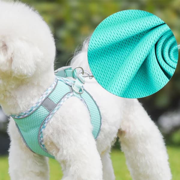 Dog wearing a teal harness with a close-up of the fabric texture.