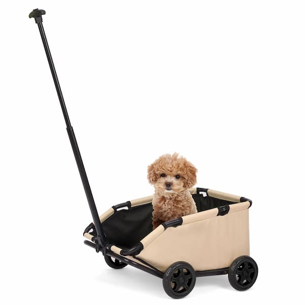 Pet dog in a beige and black pet stroller on a white background