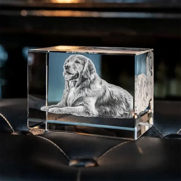 Crystal block with a dog engraving on a dark surface