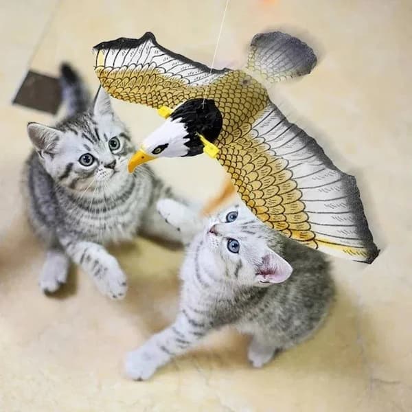 indoor cat enrichment toy bird simulation