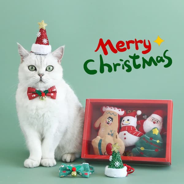 Kitty Christmas Toy Gift Box – Plush Catnip Toys with Bell & Festive Designs