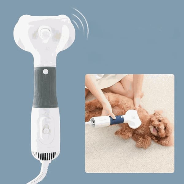 Professional pet hair dryer grooming tool with adjustable heat settings for dogs and cats in multiple colours