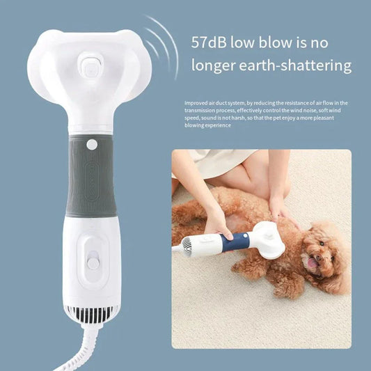 "Pet hair dryer with adjustable heat and airflow settings for fast and safe drying of dogs and cats, available in 110V and 220V options.