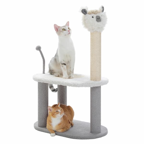 Two cats on a multi-level cat tree with a white background