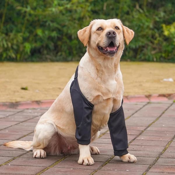 Black dog elbow protector with adjustable straps designed to support healing, protect elbow calluses and improve everyday comfort for dogs.