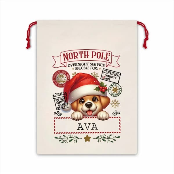Christmas-themed drawstring bag with a dog wearing a Santa hat and personalized name 'AVA'.