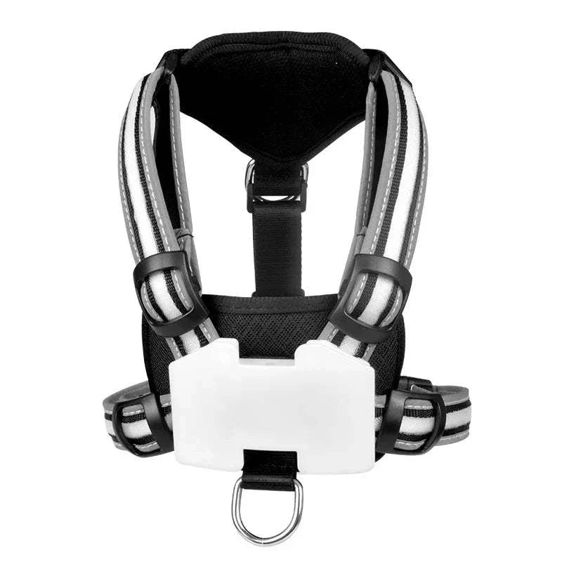 LED Dog Harness Pet Rechargeable Adjustable Flashing Waterproof Collar