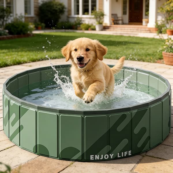 Golden retriever puppy playing in a foldable green pet swimming pool outdoors on a sunny day