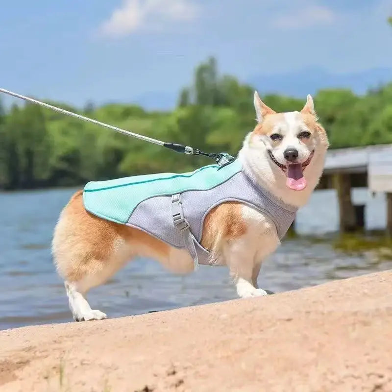 dog cooling vest breathable summer jacket for dogs to stay cool in hot weather