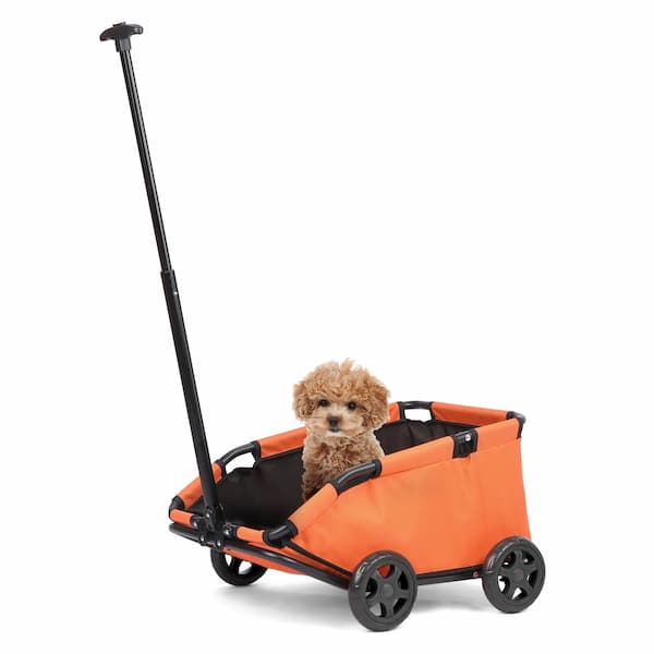 Orange pet stroller with a small dog inside on a white background
