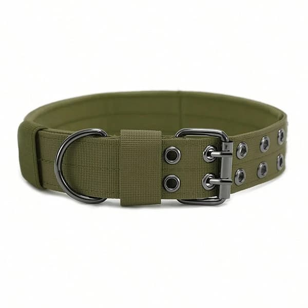 Green heavy duty tactical dog collar  with metal hardware on a white background