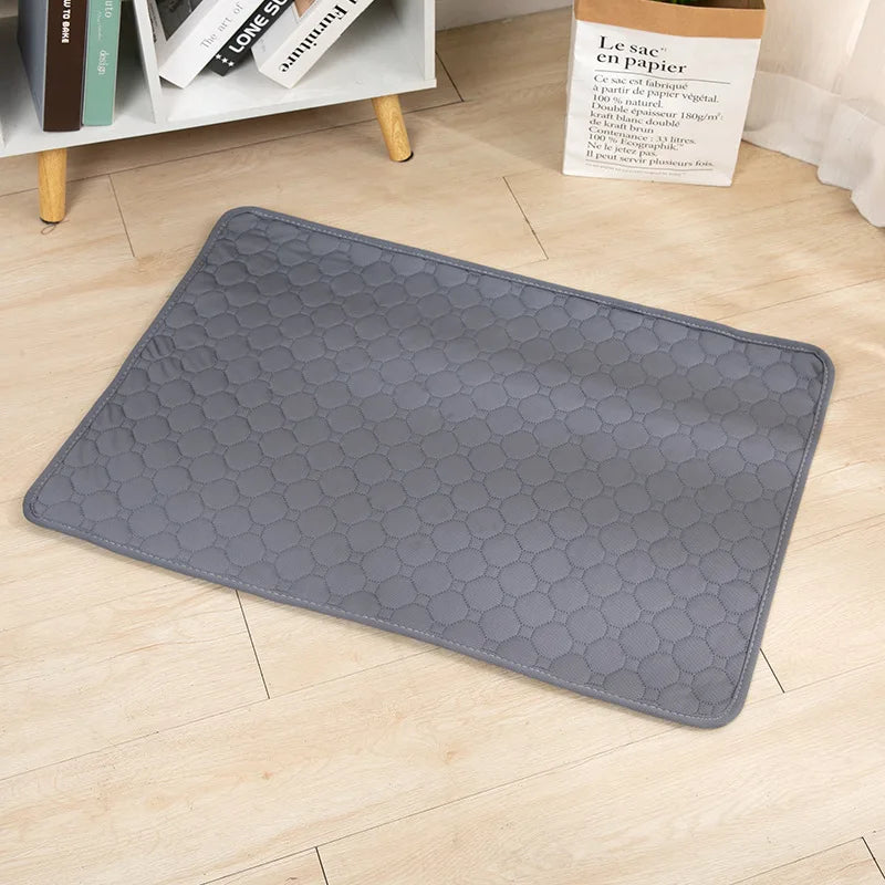 Reusable Puppyy Training Mat