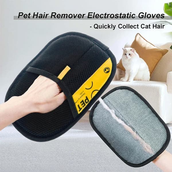 Washable grooming glove removing dog hair from sofa