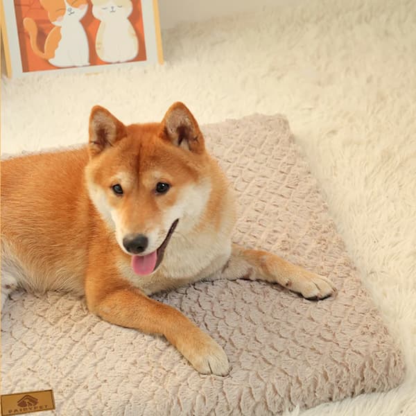 orthopedic dog bed with 3d foam support washable waterproof anti slip pet bed for large and small dogs cozy faux fur dog mattress