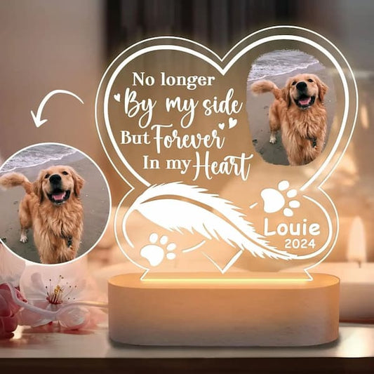 Personalised acrylic night light with pet photo and name – 7-color LED keepsake, ideal as a pet memorial or thoughtful gift for pet lovers.
