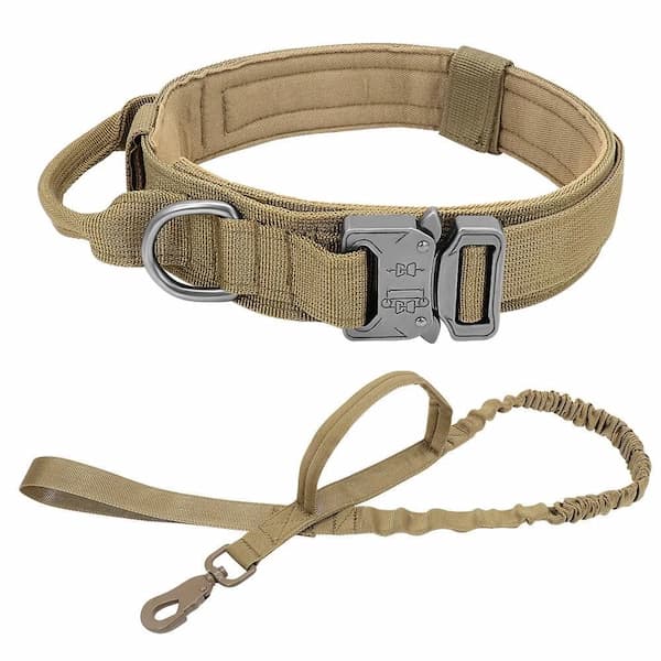 Tan dog tactical collar and leash set with a metal buckle on a white background