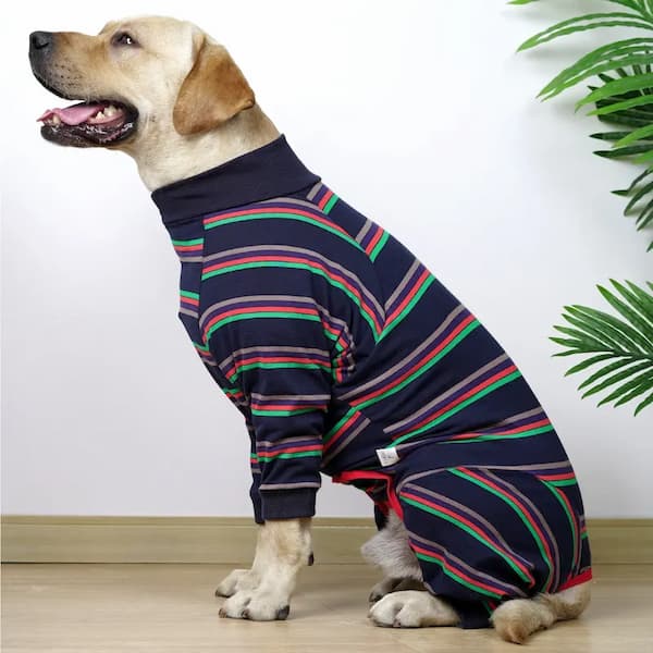 "Dog in striped recovery suit – breathable, washable dog bodysuit for aftercare"