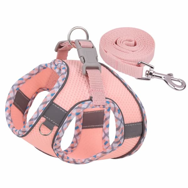 Pink dog harness and leash set on a white background