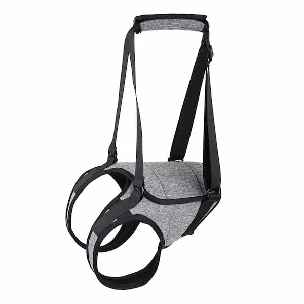 Gray pet harness with black straps on a white background