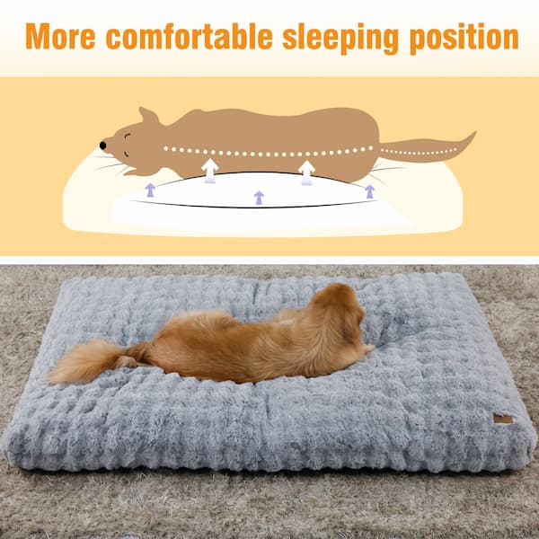 Precision-stitched orthopedic dog bed filling versus poorly stitched competitors.