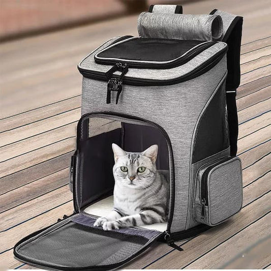 cat sitting inside expandable breathable pet carrier backpack for travel and outdoor use