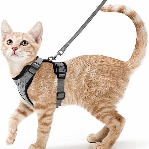 escape proof cat harness leash set adjustable breathable vest harness for cats outdoor walking