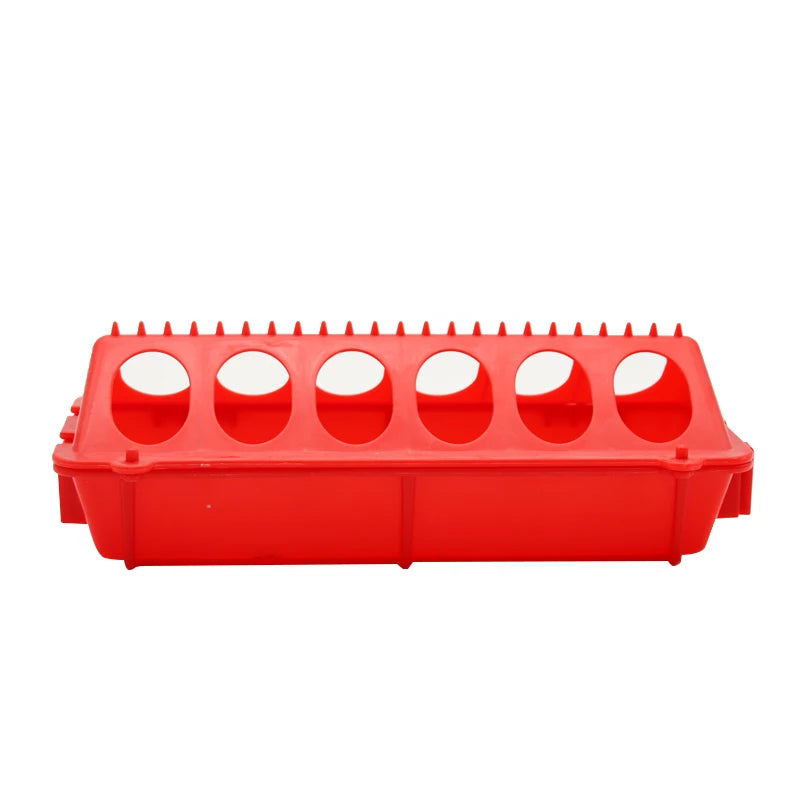 automatic chick feeder and water dispenser for chickens and quail reducing mess and keeping food and water clean