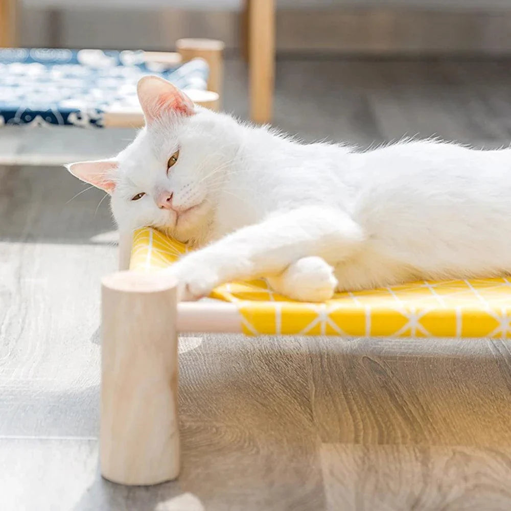 White cat lounging on a modern wooden raised bed with a yellow fabric cushion.