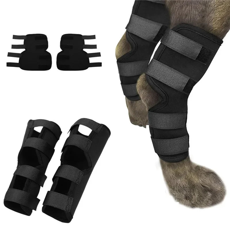 Pair of black adjustable dog knee braces – joint support pads for front or rear legs, suitable for small to large breeds